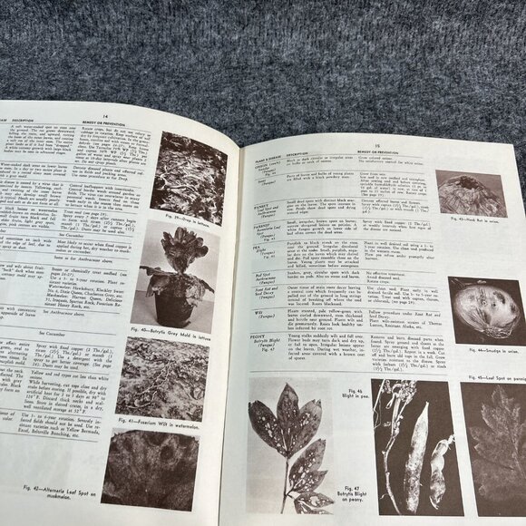 Vtg Booklet Plant Disease Control in the Garden Ohio State Extension - Picture 5 of 9